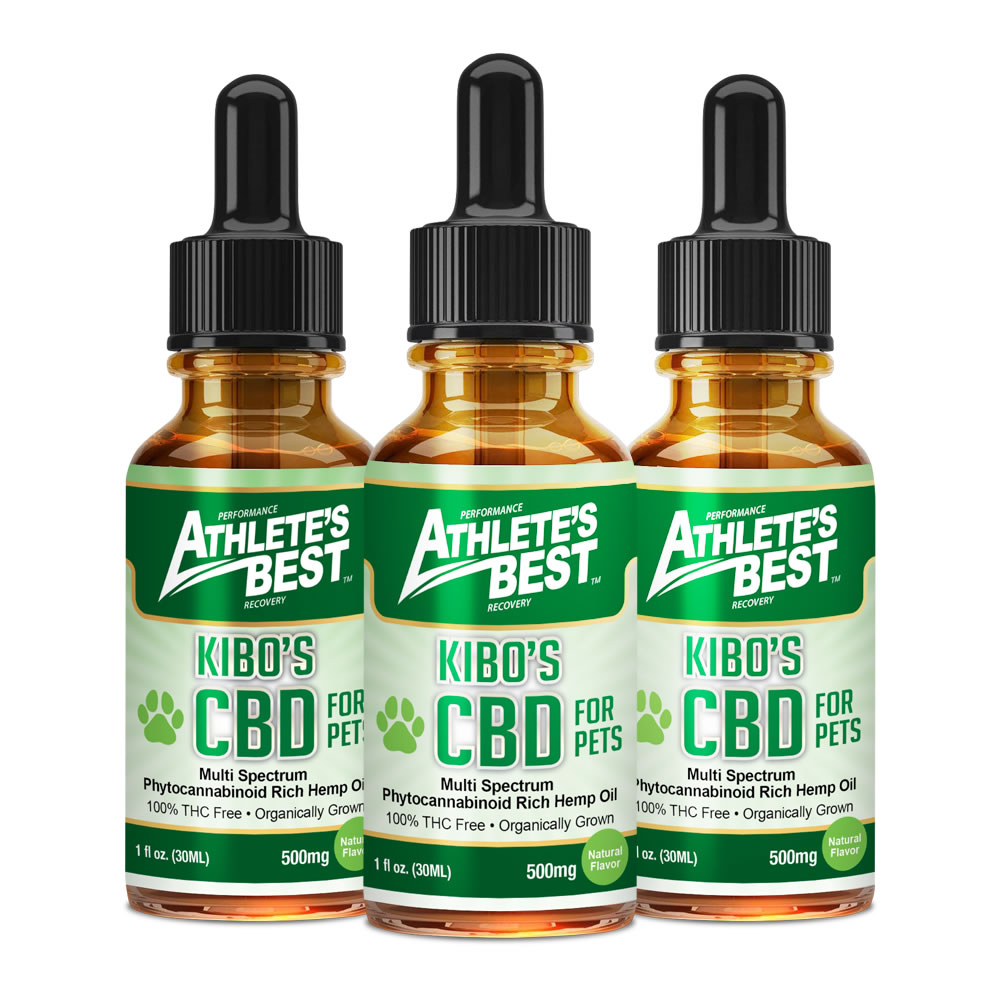 Best CBD For Dogs